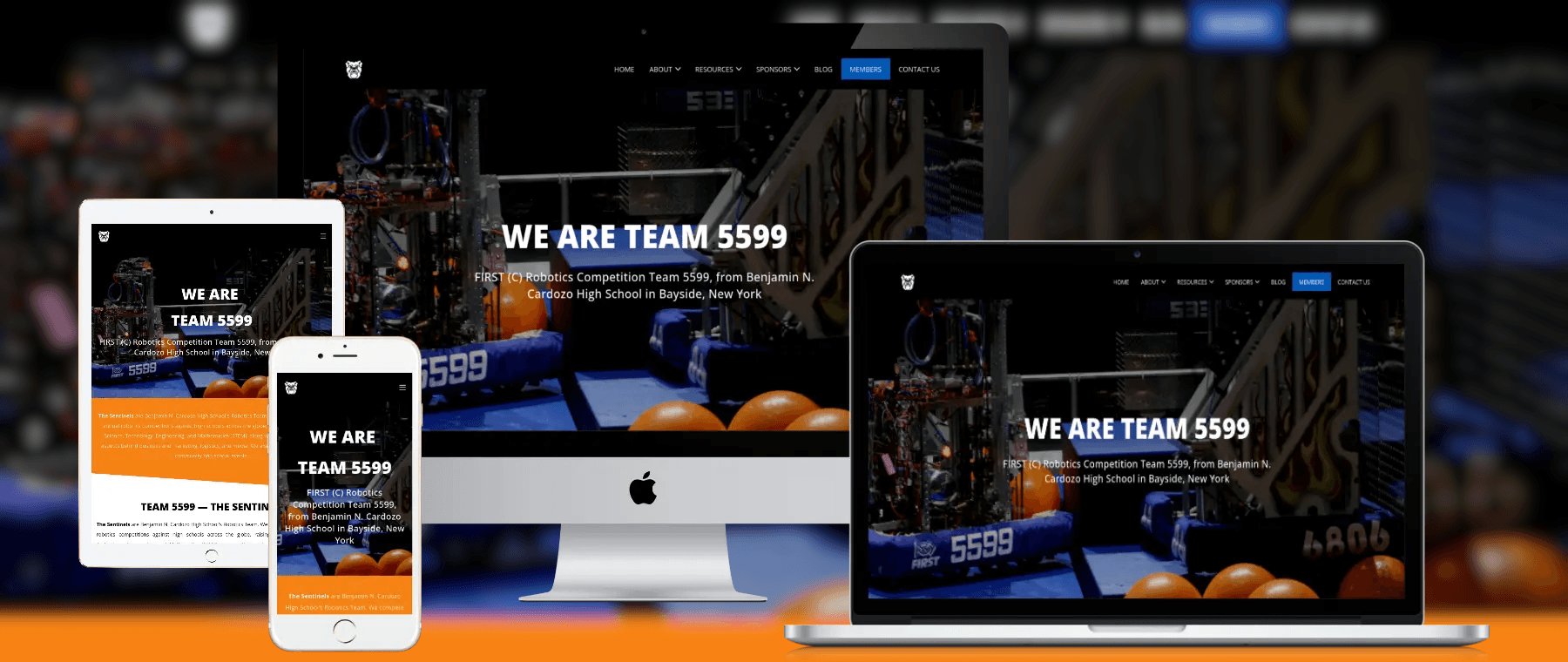 The Sentinels Website screen 1